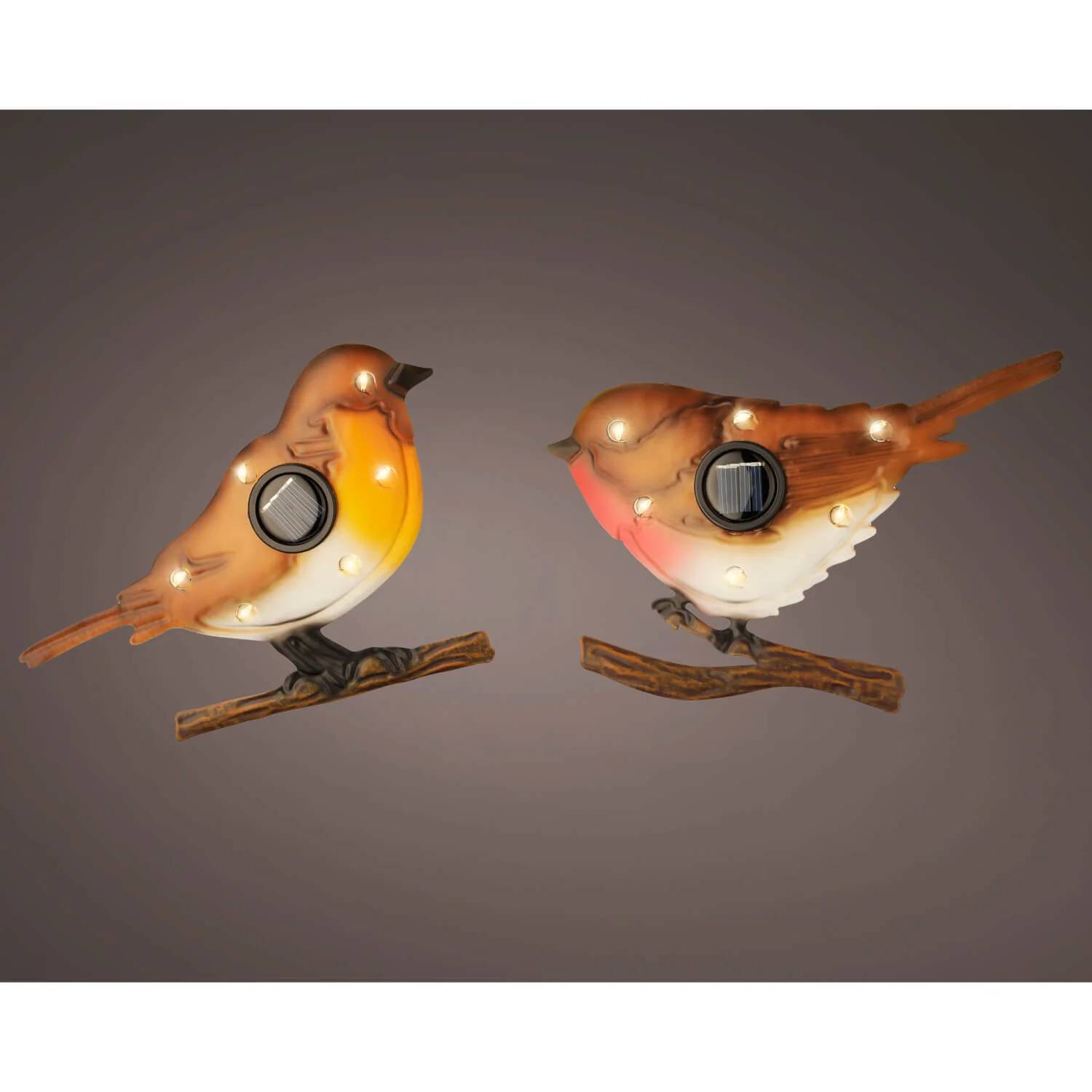 Luminéo - Oiseau Solaire - LUMINEO - Image 3