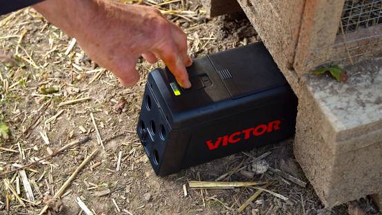 Protect Expert - PIEGE À RAT ELECTRONIQUE - Image 5