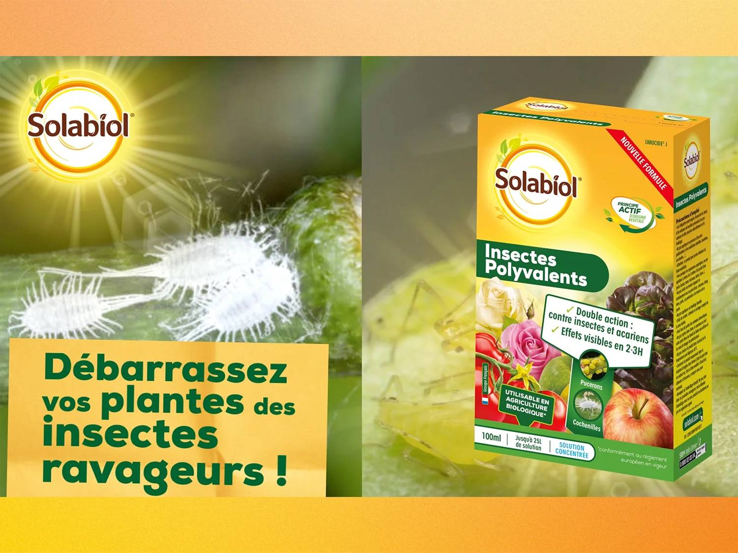 Solabiol - Insecticide Polyvalent - SOLABIOL - Image 2