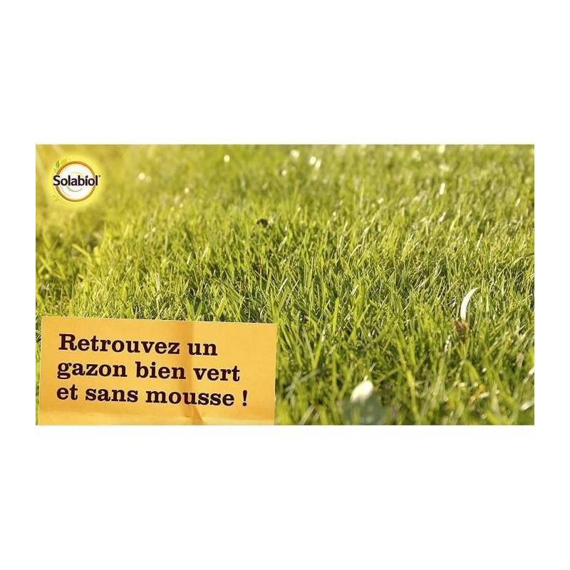 No Name - Engrais gazon anti-mousse action double 3,2 kg vert - Solabiol