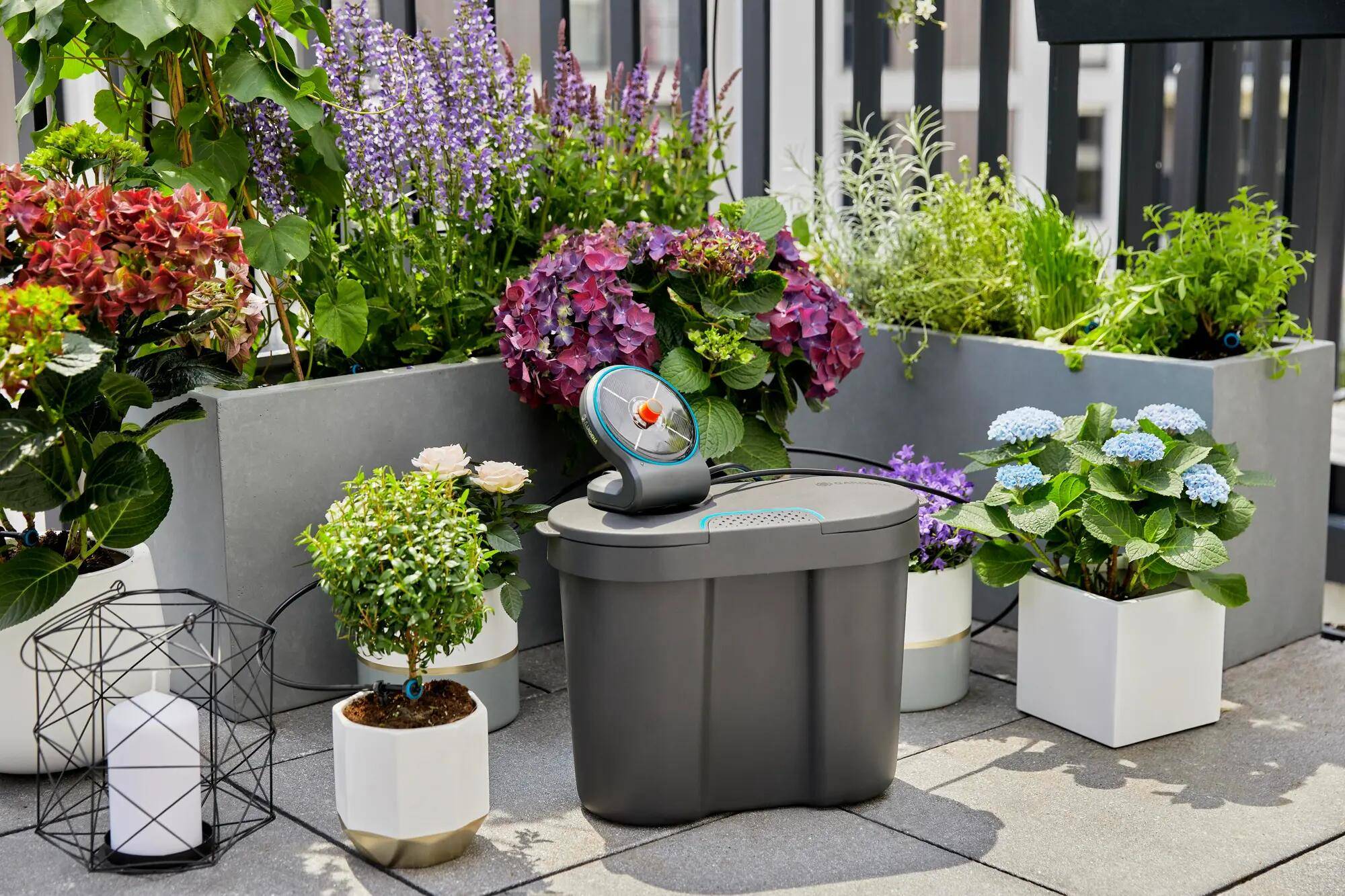 Gardena - Solution arrosage automatique solaire jusqu'à 20 plantes - Gardena - Image 2
