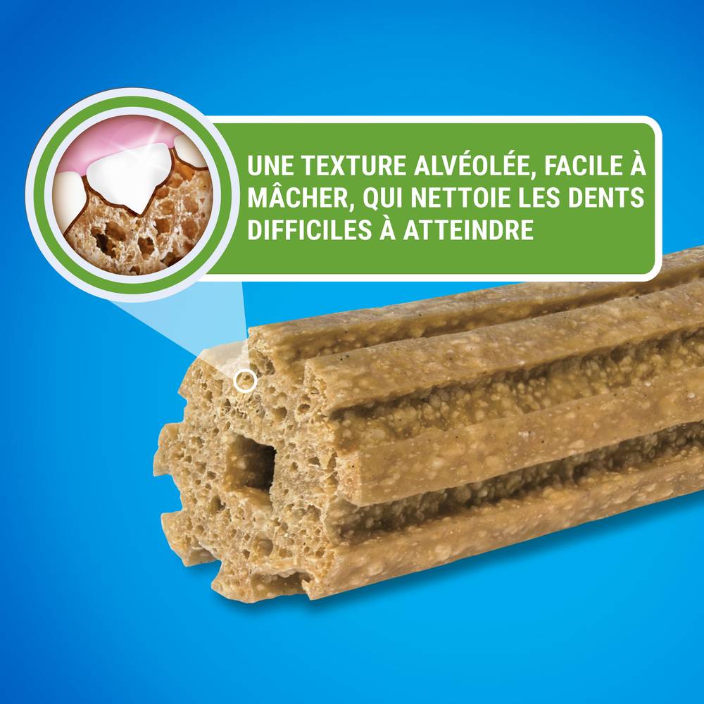 Dentalife - Sticks bucco-dentaire pour petit chien 21  x  345 g  - Dentalife - Image 12