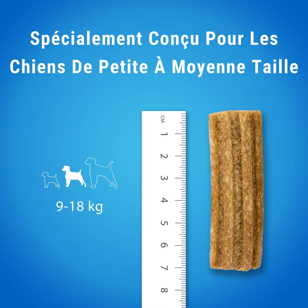 Dentalife - Sticks bucco-dentaire pour petit chien 21  x  345 g  - Dentalife - Image 14