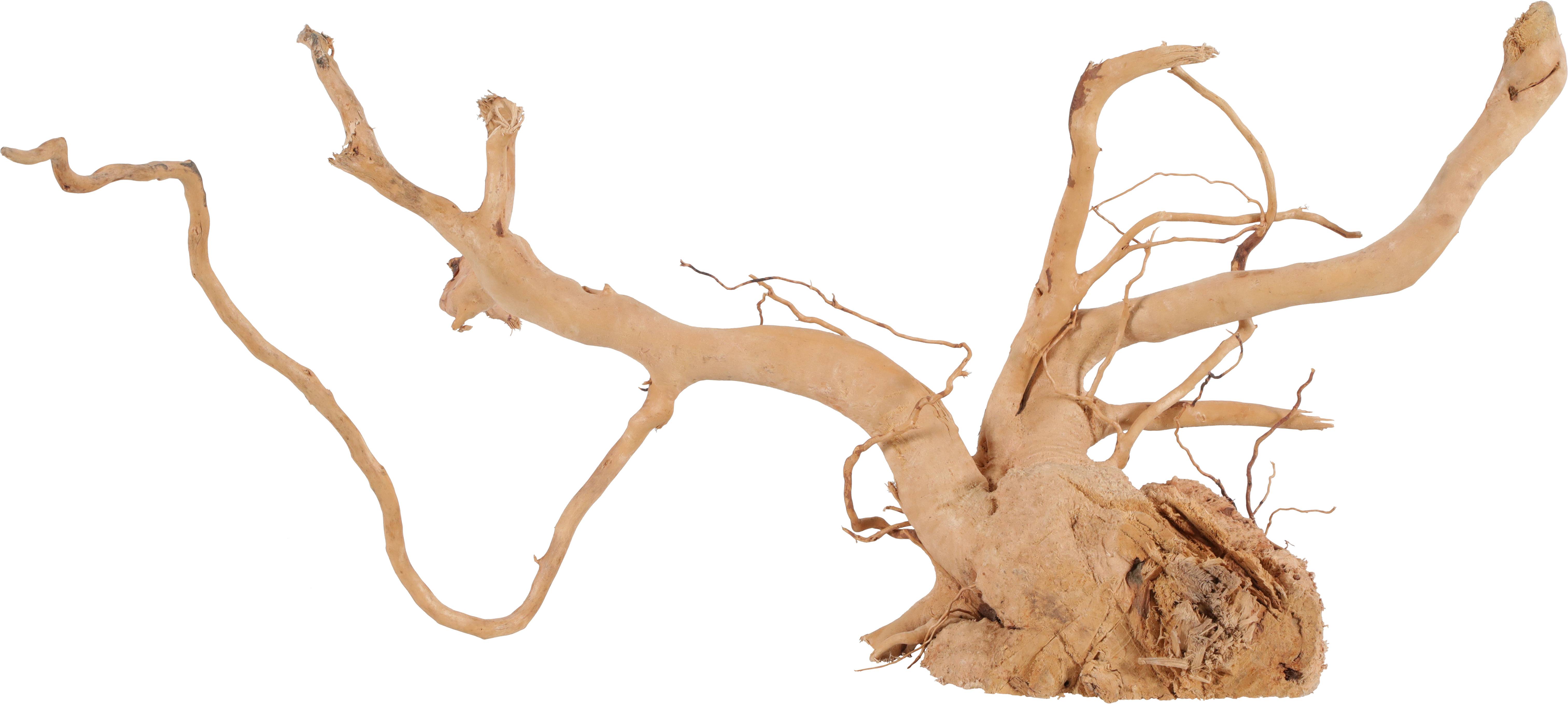 Zolux - Zolux - Racine araignée 50-60cm