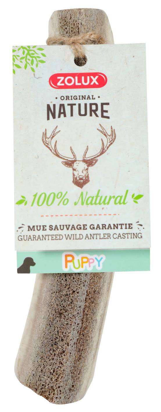 Zolux - Friandise bois de cerf chiot puppy naturel - ZOLUX - Image 1