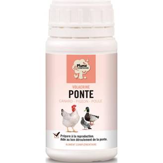 Plume & compagnie - Volacrine Ponte – PLUME & CIE
