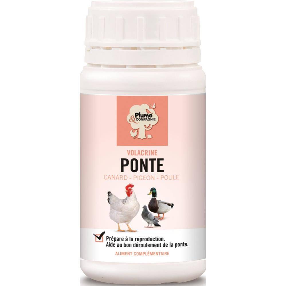 Plume & compagnie - Volacrine Ponte – PLUME & CIE