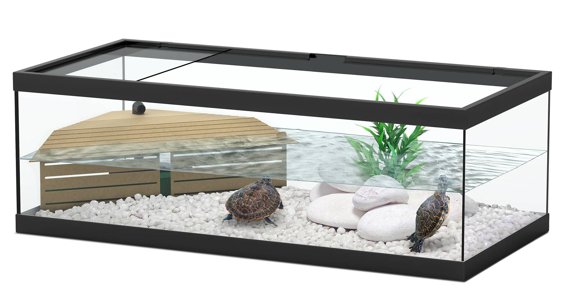 Aquatlantis - Aquatlantis - TORTUM 75X36X25 EQP COL.001 - Image 2