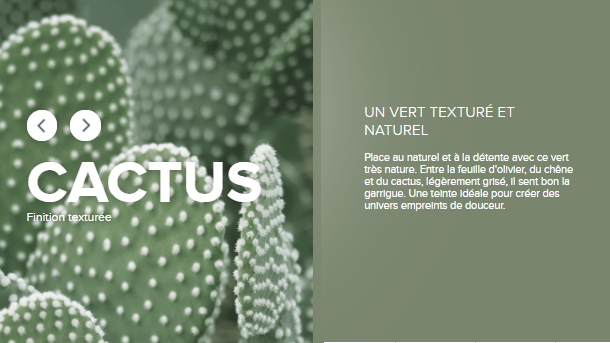 Fermob - Table de jardin rectangulaire pliante acier cactus 8 personnes Cargo Fermob - Image 2