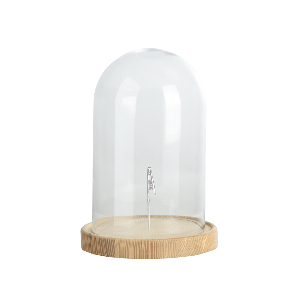Cloche Socle Bois Verre Recyclé Transparent L 20,5 cm H 31 cm - Image 2