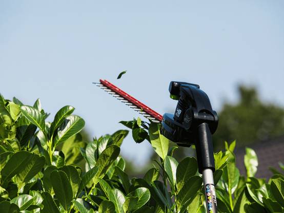 Greenworks - Taille-Haies Sur Perche Batterie - GREENWORKS - Image 10