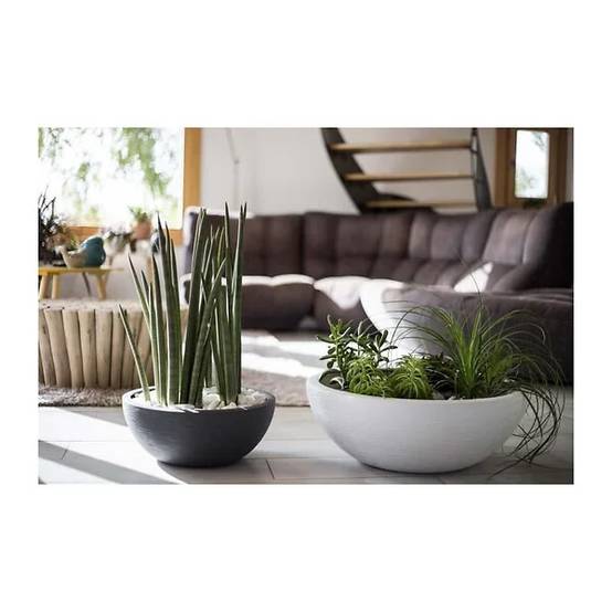 Pot De Fleurs Rond – EDA - Image 4