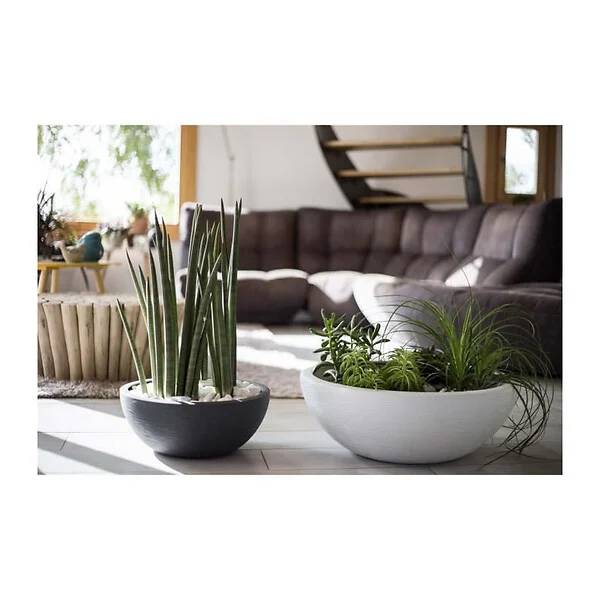 Pot De Fleurs Rond – EDA - Image 4