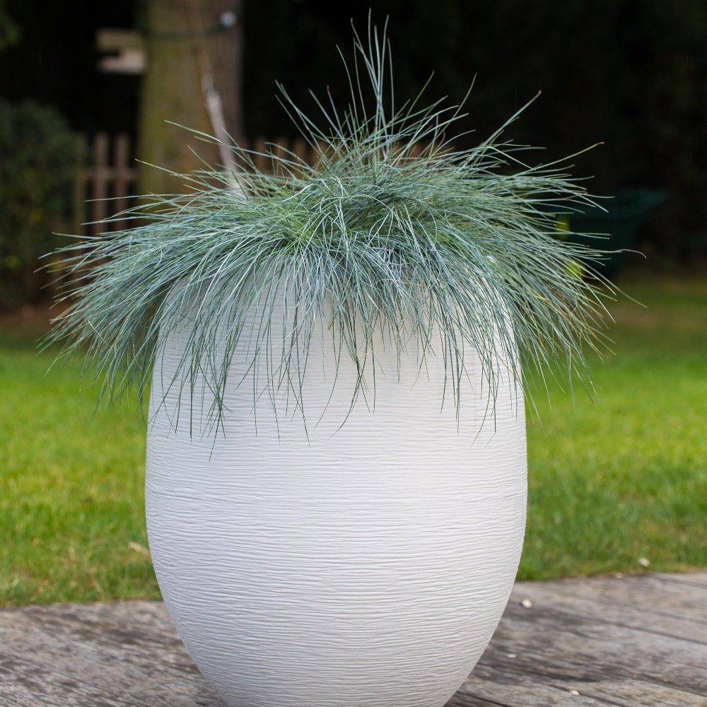 EDA Plastiques - Pot de Fleur Rond Plastique Blanc Cérusé Ø 50 x H 60 cm 53 L - EDA - Image 6