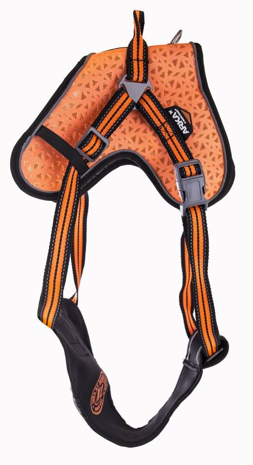 Martin Sellier - Harnais multisport pour chien ARKA DOG