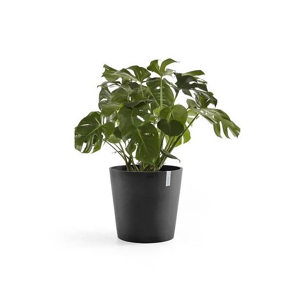 Pot Rond Plastique Recyclé Gris Foncé Ø 60 cm H 54,8 cm - ECOPOTS - Image 2