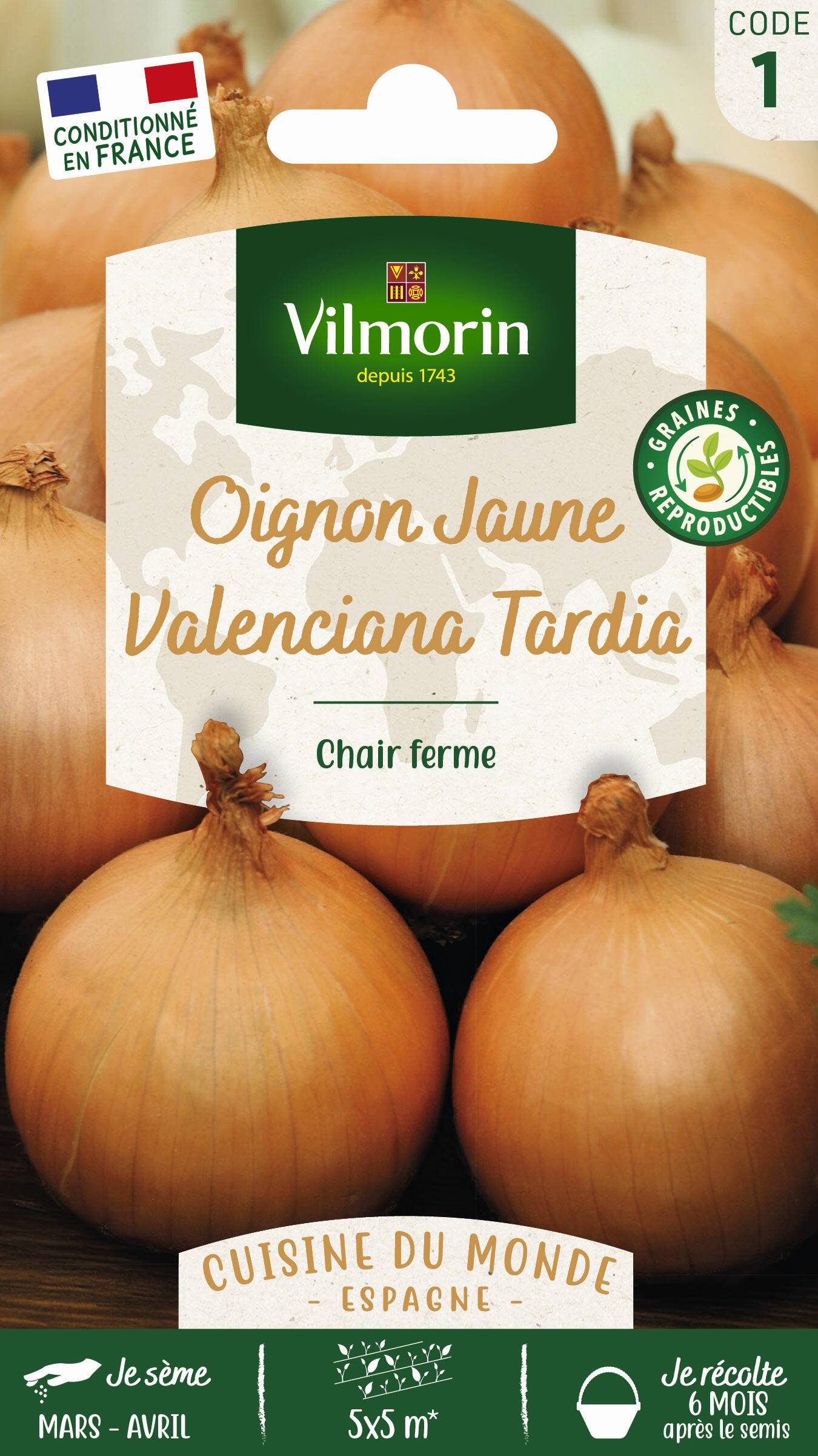 Vilmorin - Oignon jaune Valenciana tardia série 1 sachet graines 5 g - Vilmorin - Image 2
