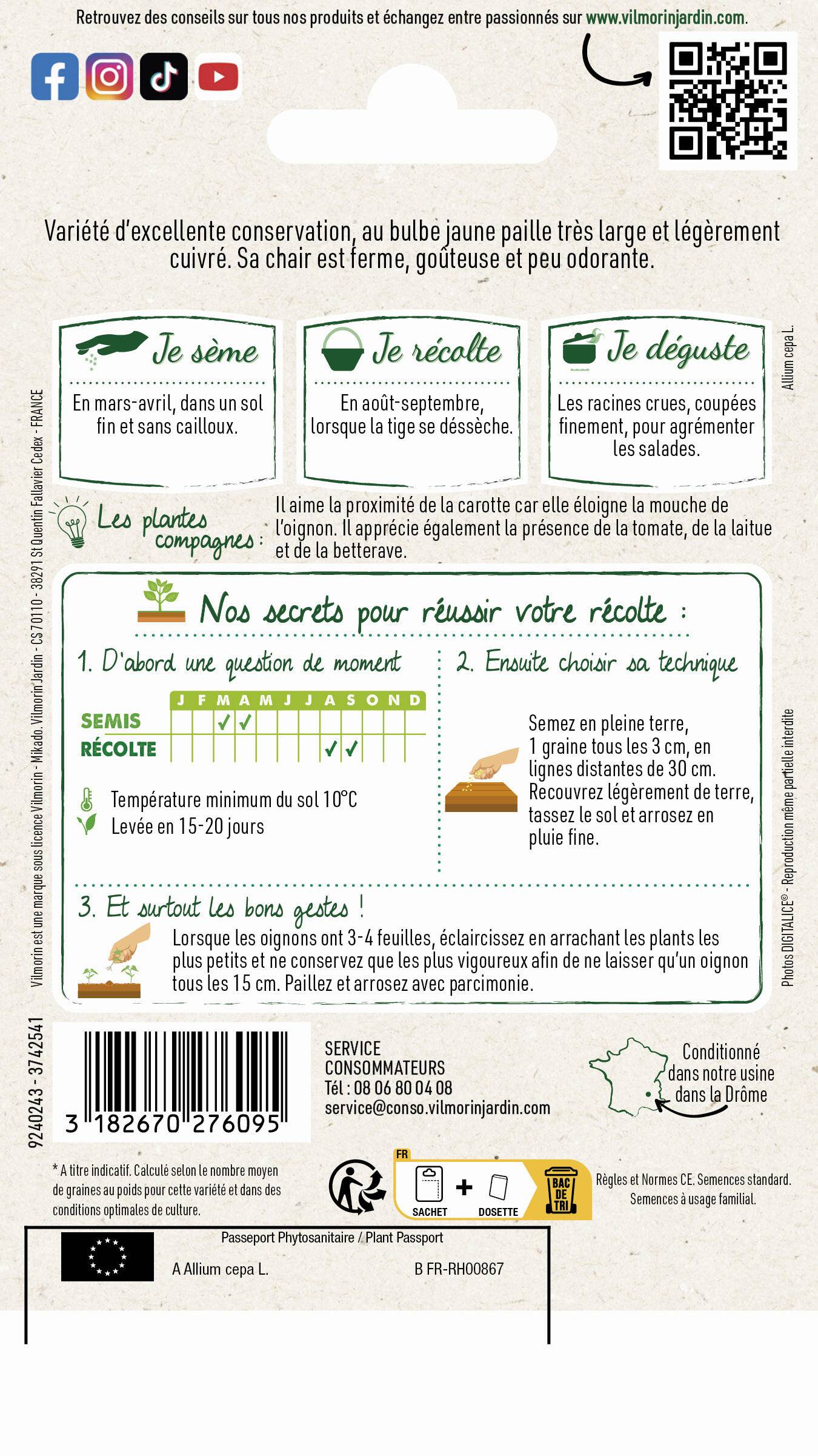 Vilmorin - Oignon jaune Valenciana tardia série 1 sachet graines 5 g - Vilmorin - Image 3
