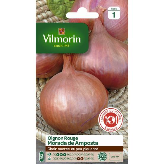 Vilmorin - Oignon Rouge Morada de Amposta serie 1 sachet graines 5 g - Vilmorin - Image 2