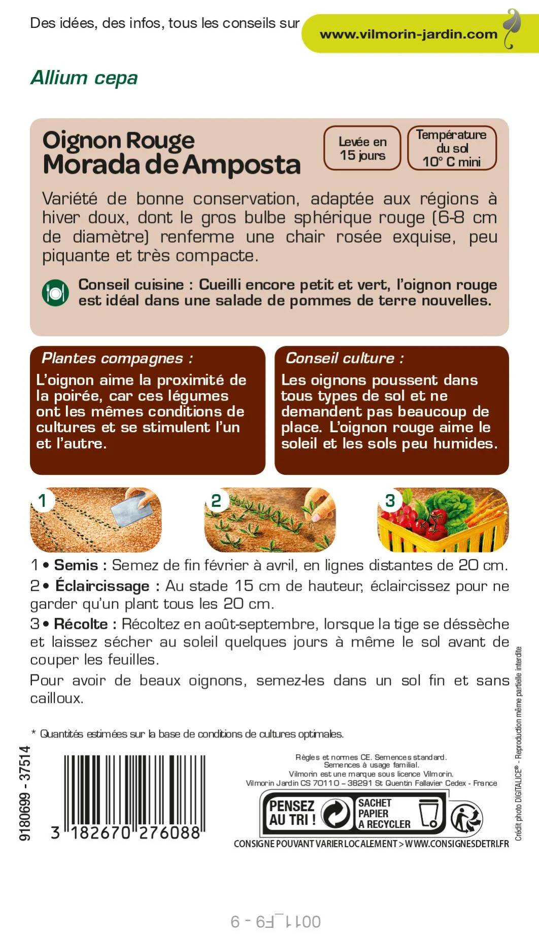 Vilmorin - Oignon Rouge Morada de Amposta  serie 1 sachet graines 5 g - Vilmorin - Image 3