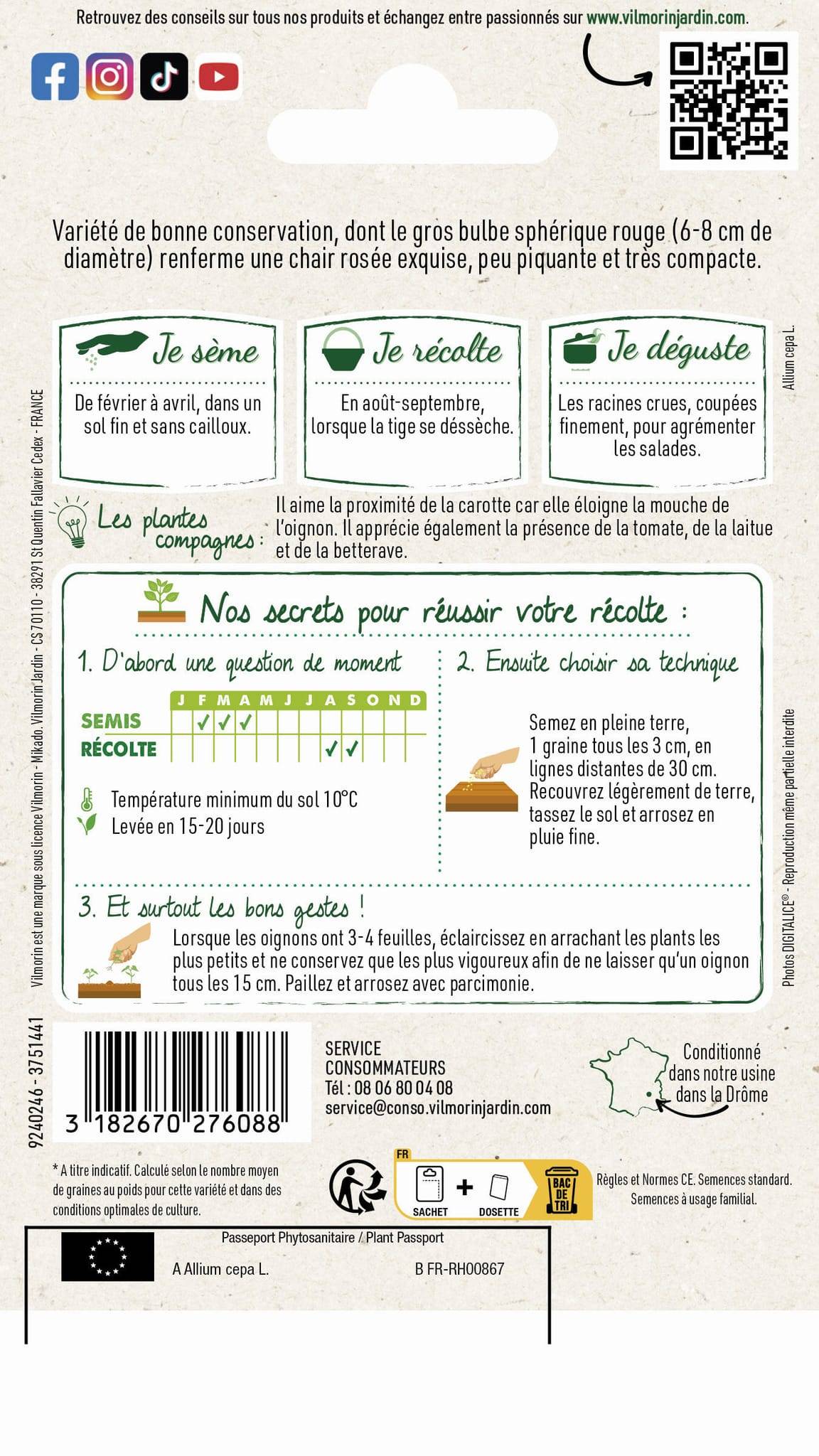 Vilmorin - Oignon Rouge Morada de Amposta  serie 1 sachet graines 5 g - Vilmorin - Image 4