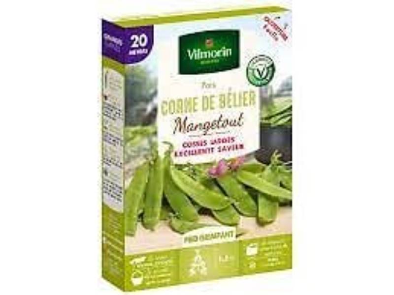 Vilmorin - Pois Mangetout Corne de Bélier serie 20M boîte graines 150 g - Vilmorin - Image 2