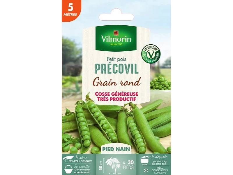 Vilmorin - Pois Precovil création série 5m sachet graines 48 g - Vilmorin - Image 2