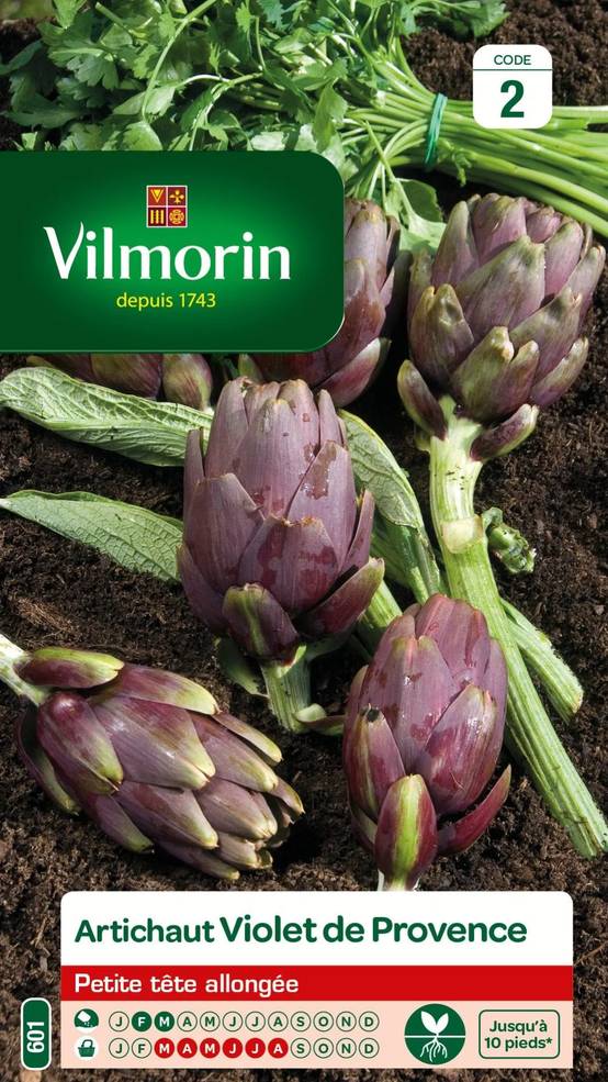 Vilmorin - Artichaut violet de Provence série 2 sachet graines 2 g - Vilmorin - Image 3