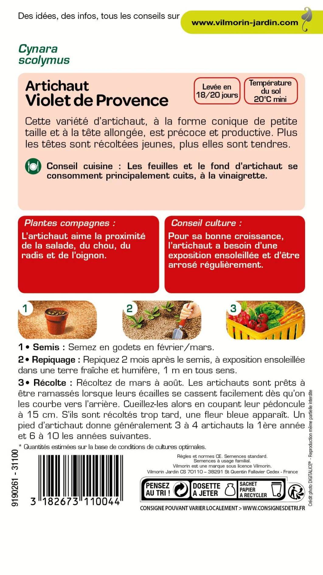 Vilmorin - Artichaut violet de Provence série 2 sachet graines 2 g - Vilmorin - Image 1