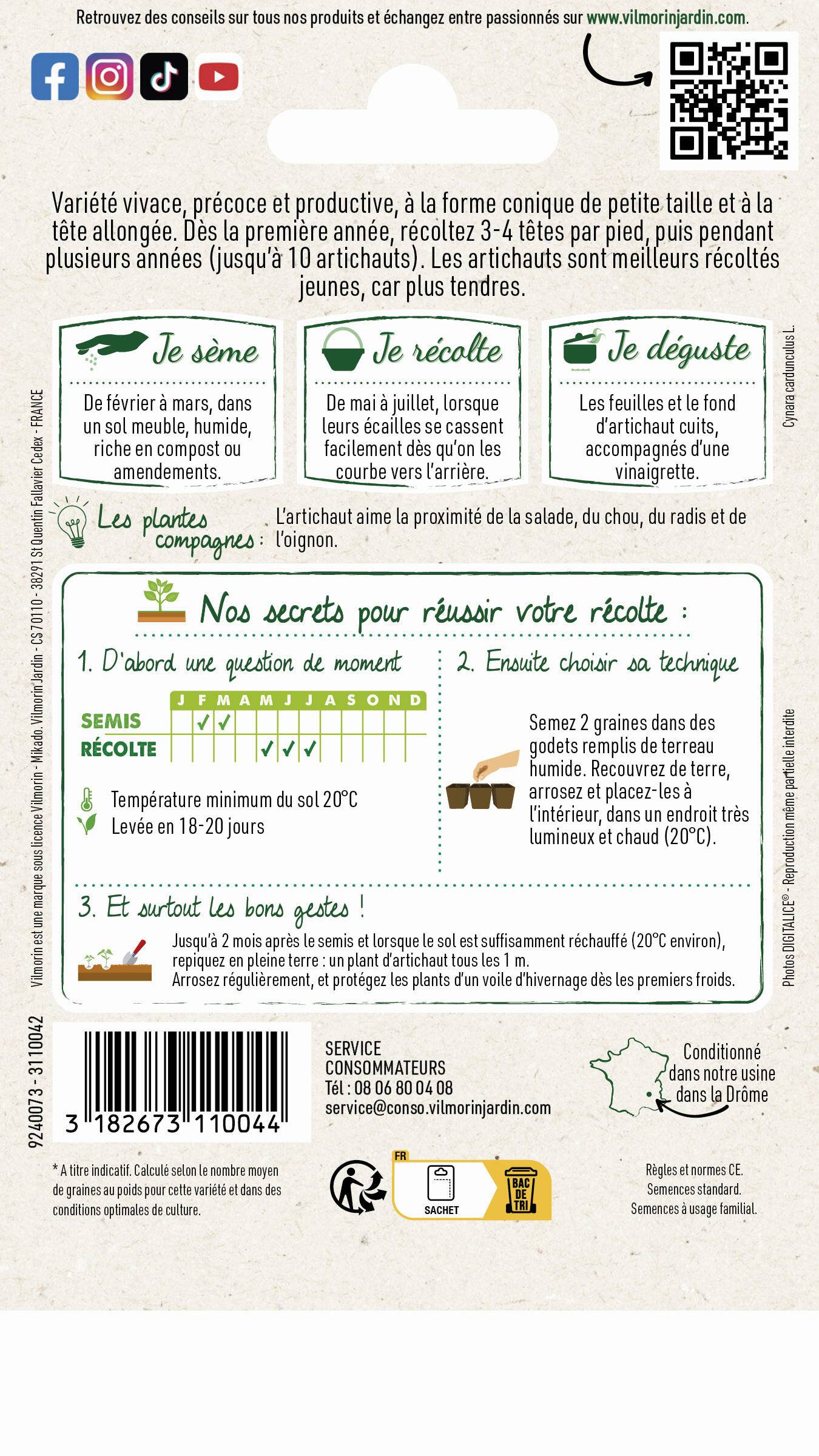 Vilmorin - Artichaut violet de Provence série 2 sachet graines 2 g - Vilmorin - Image 4