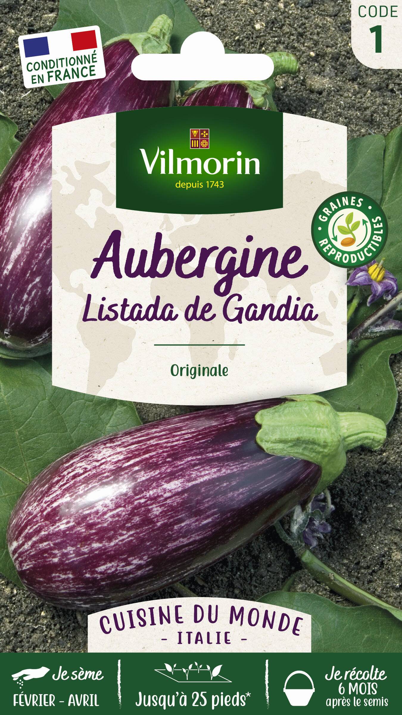 Vilmorin - Aubergine Listada de Gandia série 1 sachet graines 0,4 g - Vilmorin - Image 2