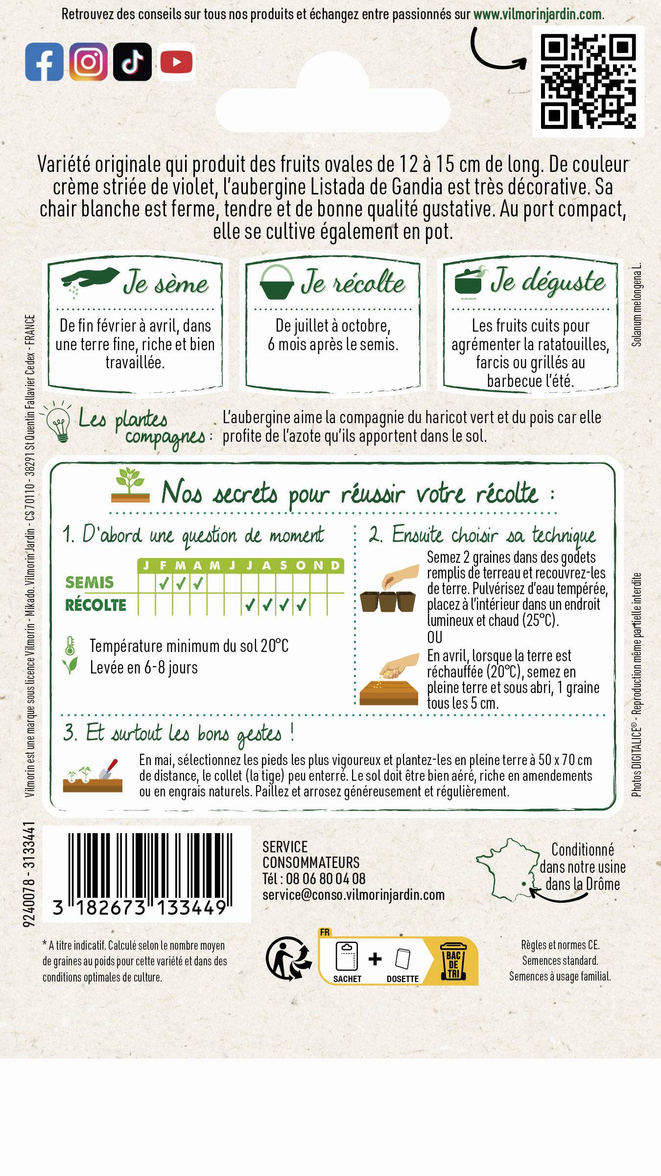 Vilmorin - Aubergine Listada de Gandia série 1 sachet graines 0,4 g - Vilmorin - Image 4