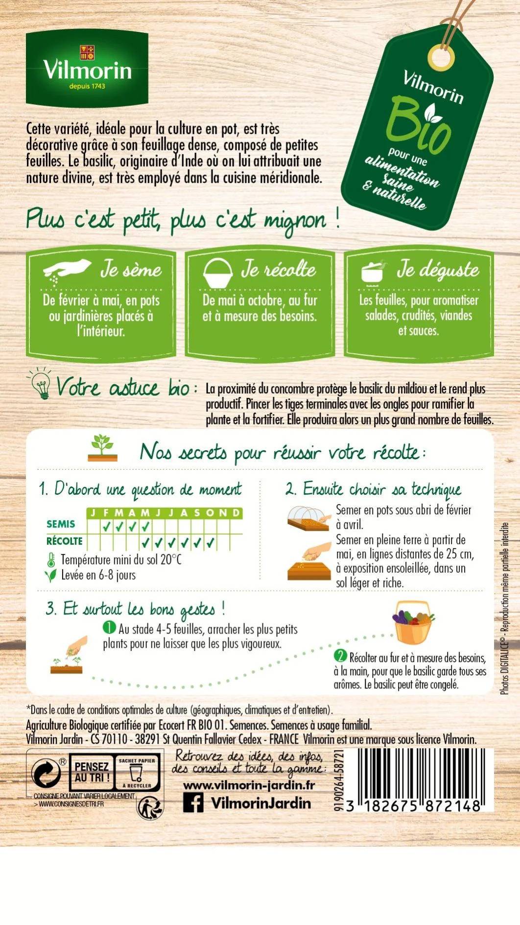 Vilmorin - Basilic Fin Vert Bio serie 2 sachet graines 1 g - Vilmorin - Image 2