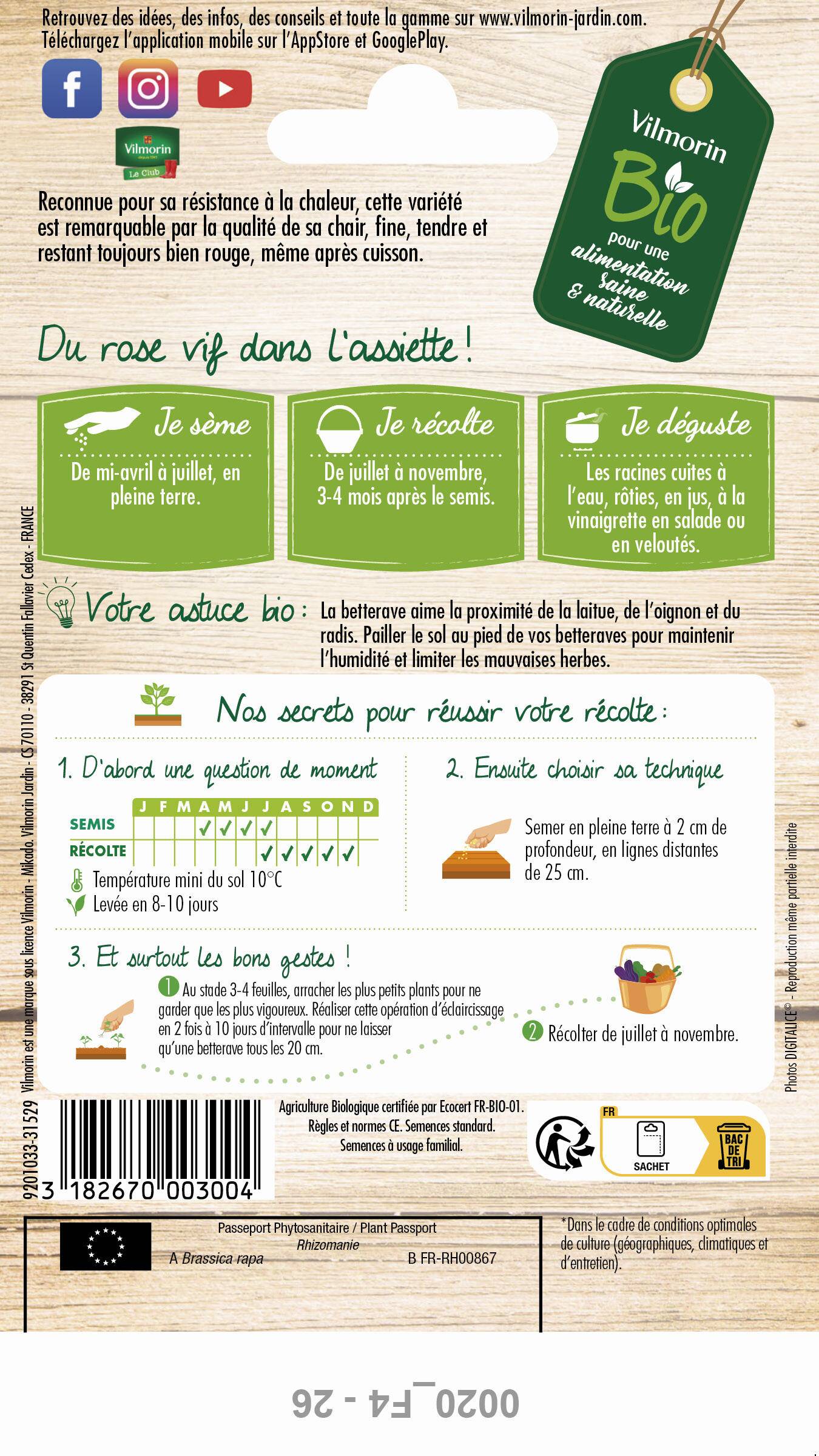 Vilmorin - Betterave potagère de Détroit 2 Bio série 2 sachet graines 5 g - Vilmorin - Image 3