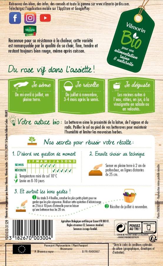 Vilmorin - Betterave potagère de Détroit 2 Bio série 2 sachet graines 5 g - Vilmorin - Image 4