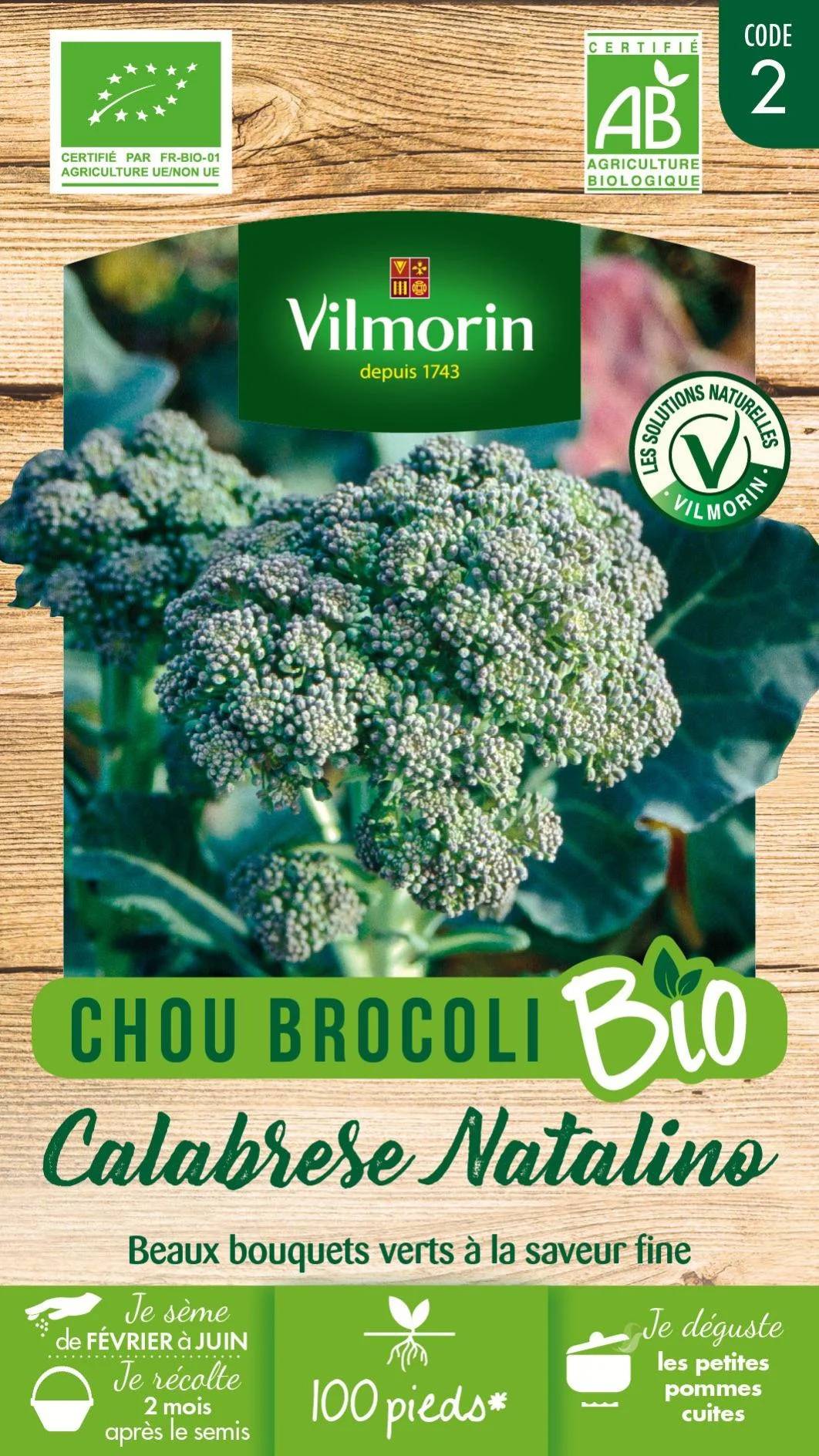 Graine potagère chou calabrese natalino bio 1 g - Vilmorin - Image 2