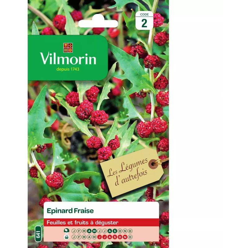 Epinard Fraise Sachet Graines Chenopodium capitatum - VILMORIN - Image 1