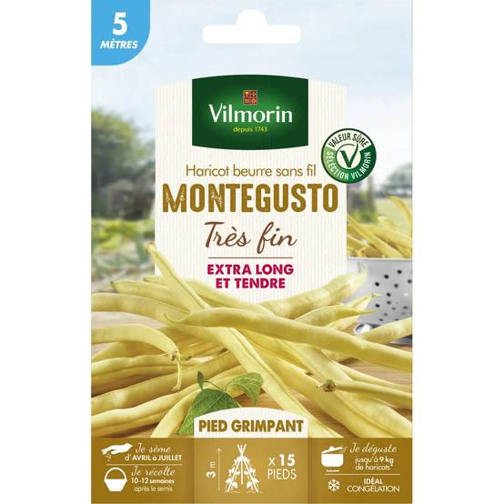 Vilmorin - Haricot Grimpant Beurre Monte Gusto serie 5M sachet graines 21 g - Vilmorin - Image 1