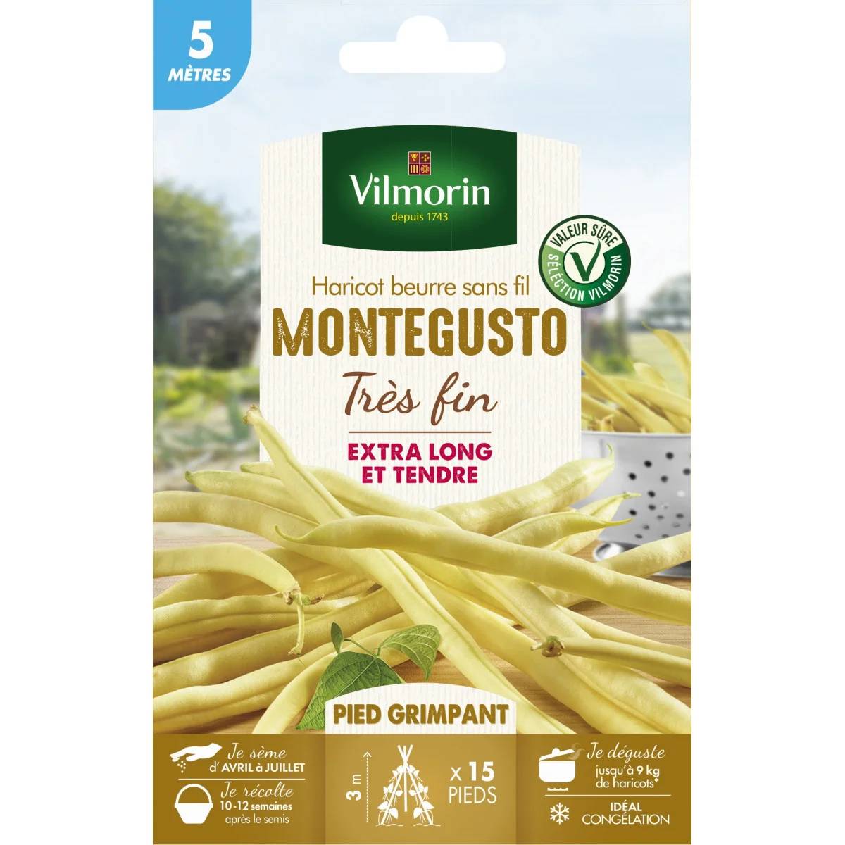 Vilmorin - Haricot Grimpant Beurre Monte Gusto serie 5M sachet graines 21 g - Vilmorin