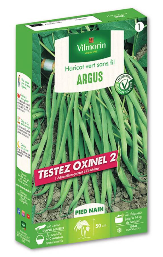 Vilmorin - Haricot argus avec échantillon Oxinel 2 série 1 sachet graines 110 g - Vilmorin - Image 2