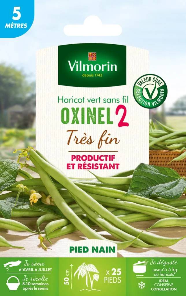 Vilmorin - Haricot nain vert sans fil Oxinel 2 série 5m sachet graines 35 g - Vilmorin - Image 1
