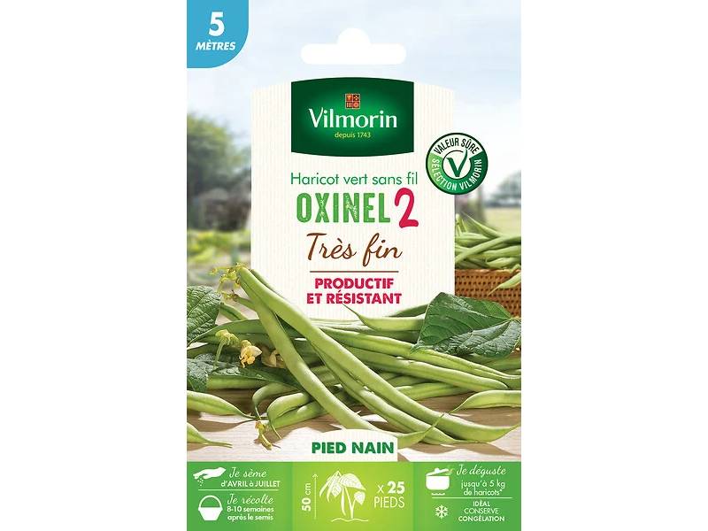 Vilmorin - Haricot nain vert sans fil Oxinel 2 série 5m sachet graines 35 g - Vilmorin - Image 5