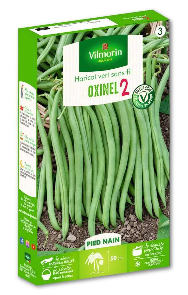 Vilmorin - Haricot Nain Vert Oxinel 2 serie 3 boîte graines 200 g - Vilmorin - Image 1
