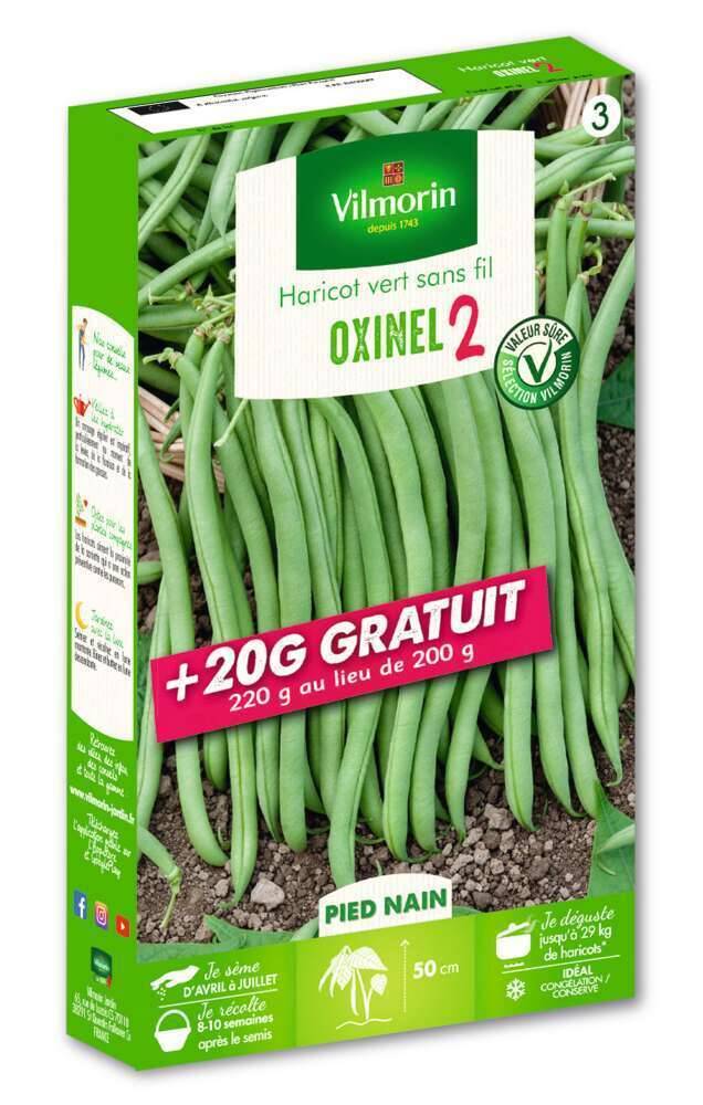 Vilmorin - Haricot Nain Vert Oxinel 2 + 20g Gratuit serie 3 boîte graines 220 g - Vilmorin - Image 1