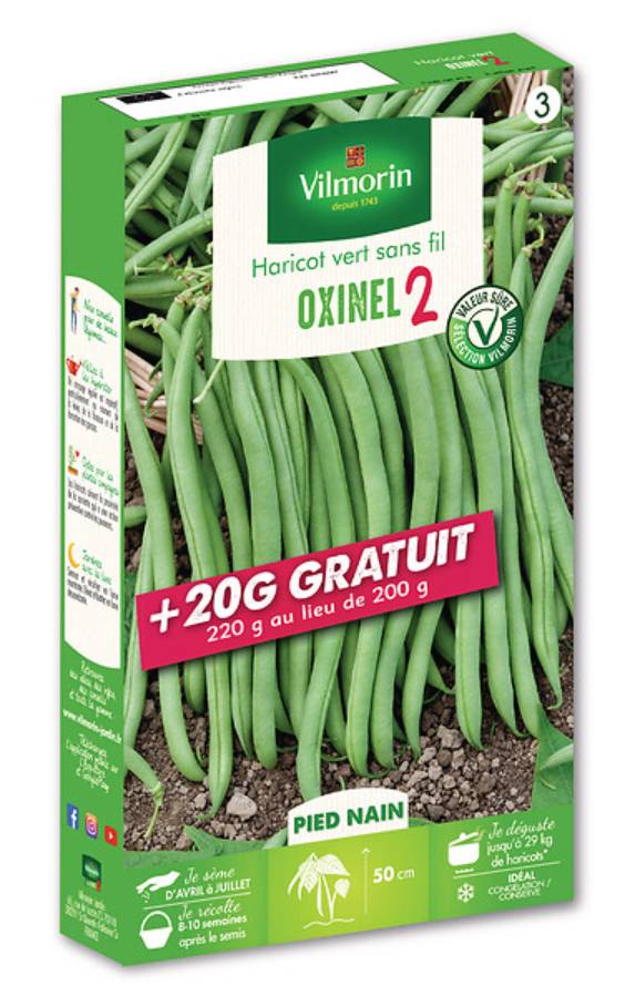 Vilmorin - Haricot Nain Vert Oxinel 2 + 20g Gratuit serie 3 boîte graines 220 g - Vilmorin - Image 2