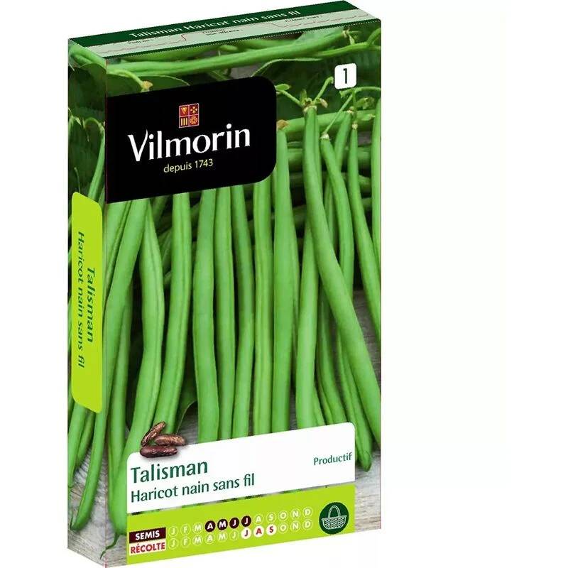 Vilmorin - Haricot Talisman série 1 sachet graines 140 g - Vilmorin - Image 1