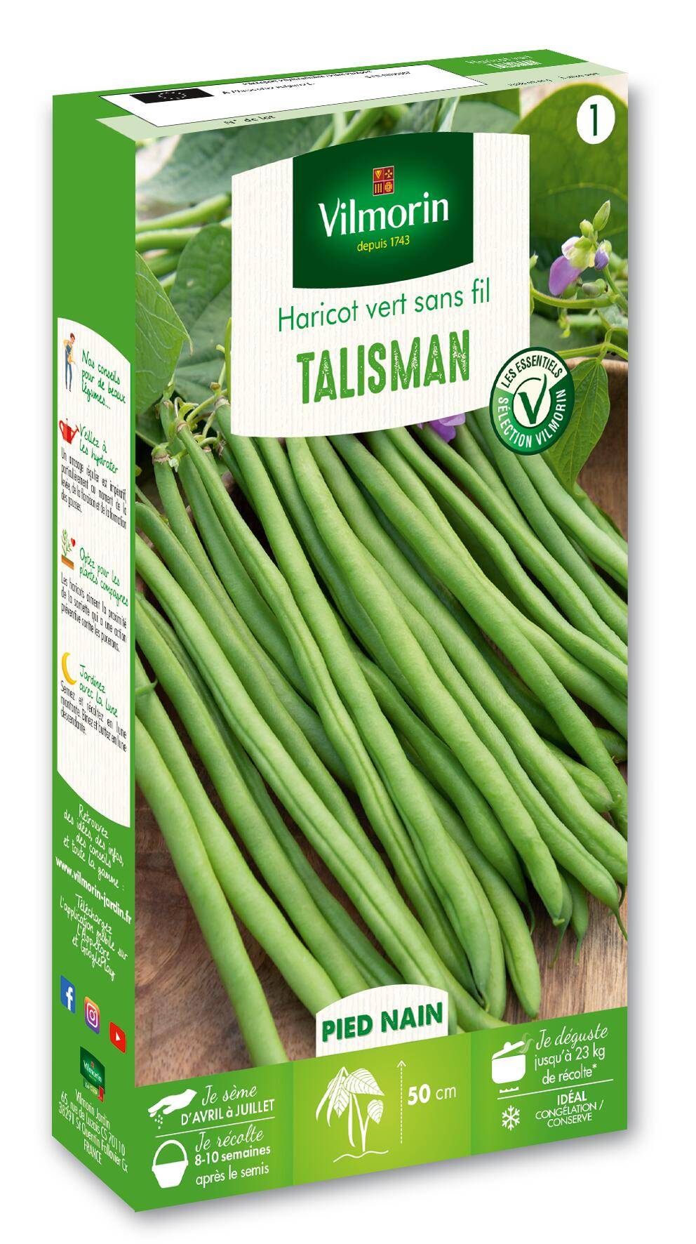 Vilmorin - Haricot Talisman série 1 sachet graines 140 g - Vilmorin - Image 2