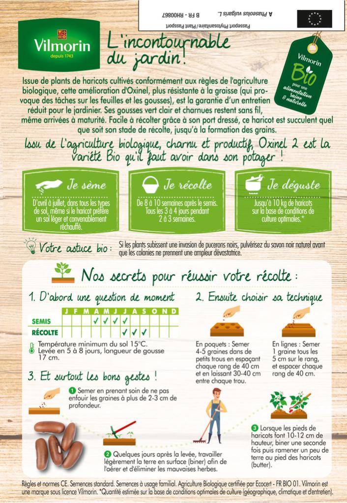 Vilmorin - Haricot nain vert sans fil Oxinel 2 Bio série 10m sachet graines 70 g - Vilmorin - Image 3