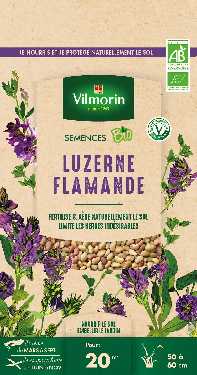 Vilmorin - Luzerne flamande BIO - VILMORIN - Image 3