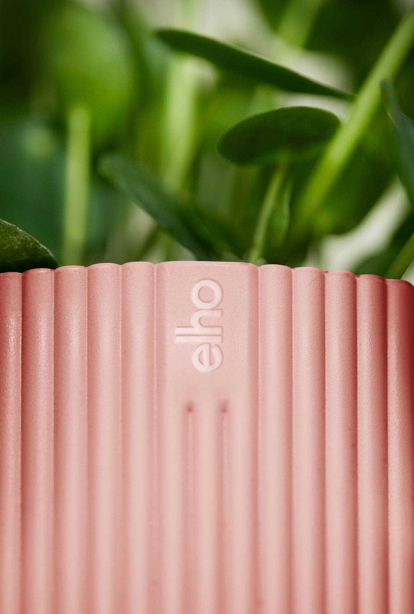 Elho - Cache-pot Polypropylène Rose – ELHO - Image 3
